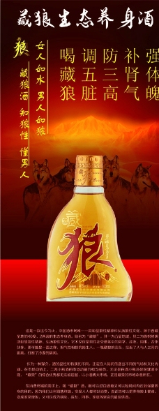 藏狼酒x展架图片