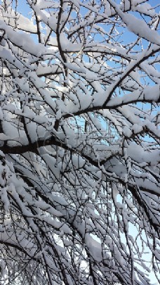 寒冷冬天的雪景