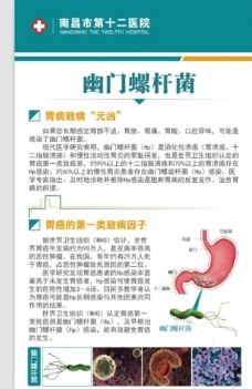 幽门螺杆菌