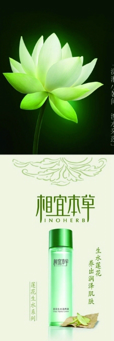 相宜本草海报