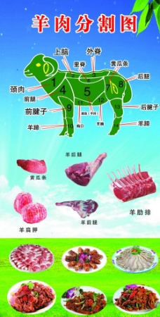 羊肉分割图图片