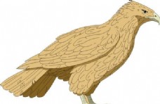 鸟类动物各种鸟类鸟动物矢量素材EPS格式0847
