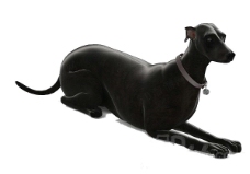 黑色狗动物 3d模型