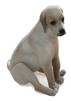 小狗动物 3d模型