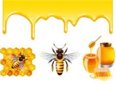 蜂蜜与蜜蜂设计图片