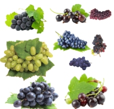 进口蔬果葡萄素材提子图片