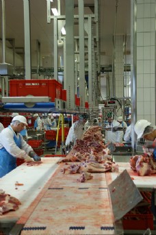 肉类的切割工厂