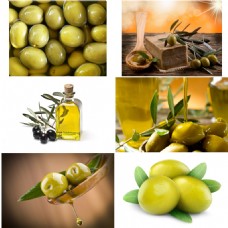 橄榄食用油