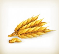 3D立体金色小麦