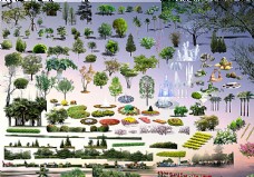 绿化景观景观psd树木素材图片
