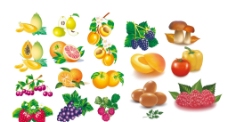 矢量 水果蔬菜图片