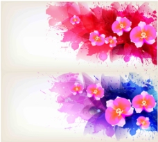 彩色鲜花背景图片