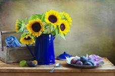鲜花摄影蓝色花瓶里的向日葵