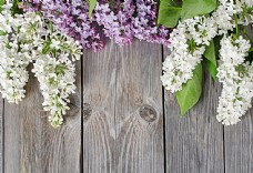 木纹背景与鲜花