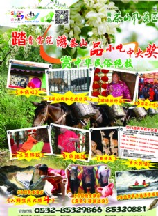 茶山景区槐花节宣传彩图片