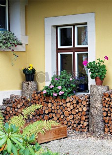堆积木柴柴