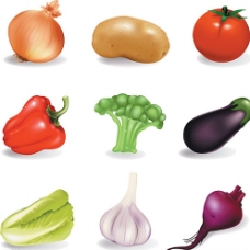 餐饮蔬菜矢量图片