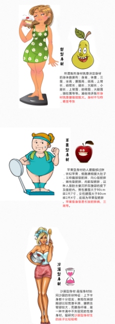 卡通美女人物 苹果 梨形沙漏型身材 减肥