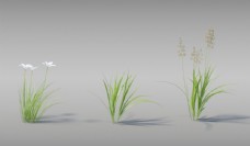 绿树草模型图片