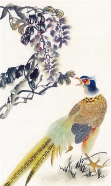 花鸟 中国画 11