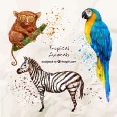 野生动物水彩画中的野生和外来动物