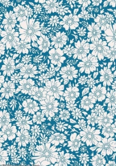 蓝色雏菊碎花