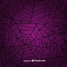 蜘蛛网的背景