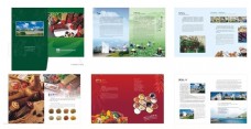香料生产企业画册设计矢量素材