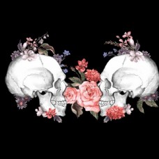欧式花纹背景骷髅头花卉图片