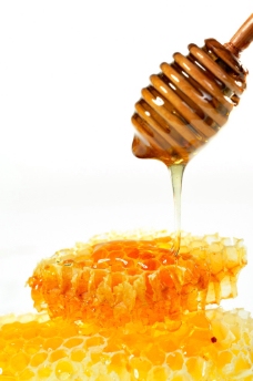 蜂蜜系列图图片