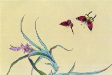 昆虫蝴蝶蝴蝶工笔花虫昆虫画国画0048