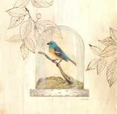 玻璃与鸟手绘装饰画