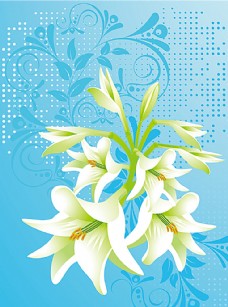 多彩花卉装饰背景矢量素材图片