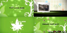 花纹生长动画中的图片视频展示AE模板