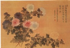 菊花图花鸟画中国古画0412