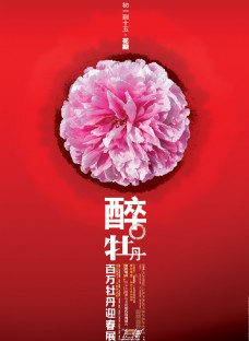 时代玫瑰园海报牡丹节