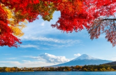 秋日富士山图片