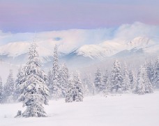 冬天雪景背景素材
