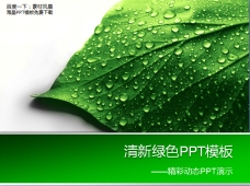 教育环保绿色PPT模版