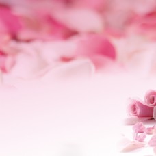 淡雅粉色浪漫花朵直通车主图背景
