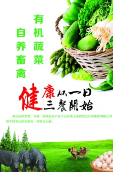 绿色蔬菜生态展板图片