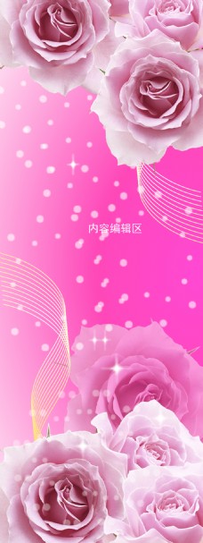展板模板精美粉色玫瑰花背景展架设计模板素材画面