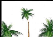 树木椰子树矢量图图片