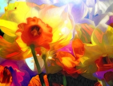 抽象花卉图片