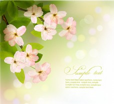 春天海报清新春季花卉背景图片