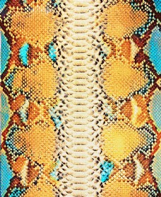 黄色背景蛇皮纹理背景