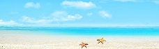 淘宝海报海边沙滩贝壳背景