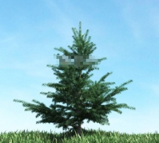树3d模型素材下载