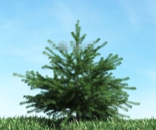 绿树3d模型下载