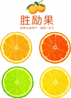 水果农场芷江胜励果冰糖橙柑橘切片效果图